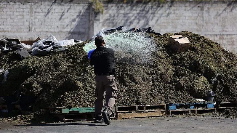 Incineración drogas 